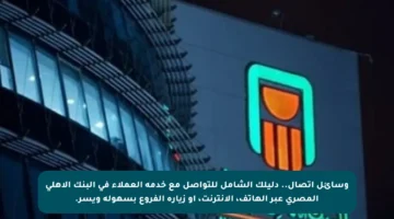 وسائل اتصال.. دليلك الشامل للتواصل مع خدمة العملاء في البنك الأهلي المصري عبر الهاتف، الإنترنت، أو زيارة الفروع بسهولة ويسر.